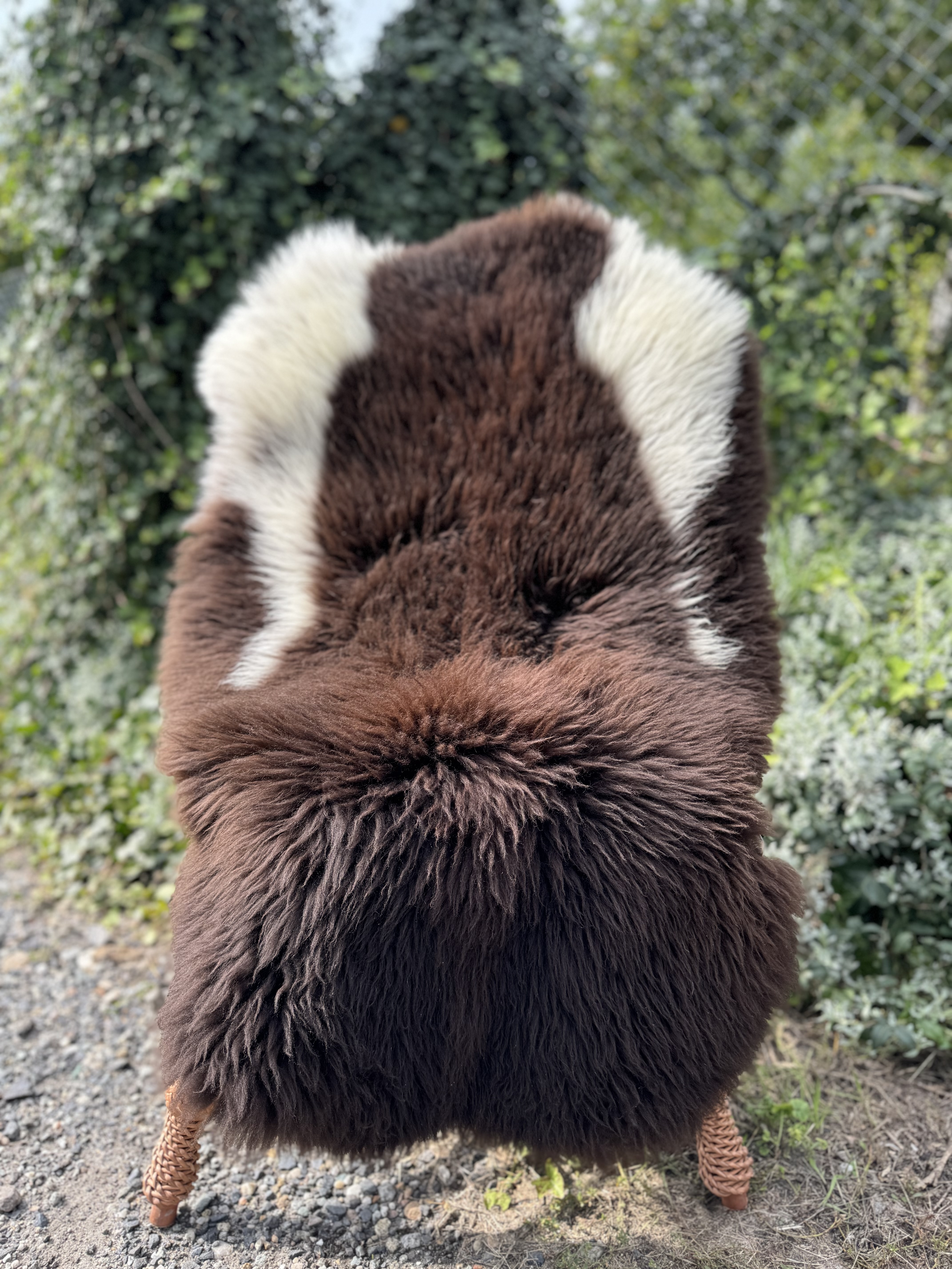 Sheepskins - Swedish - szwedzkie-skry-owcze-swedish-sheepskins-schwedische-schaffelle-zweedse-schapenvachten-peaux-de-mouton-sudoises3