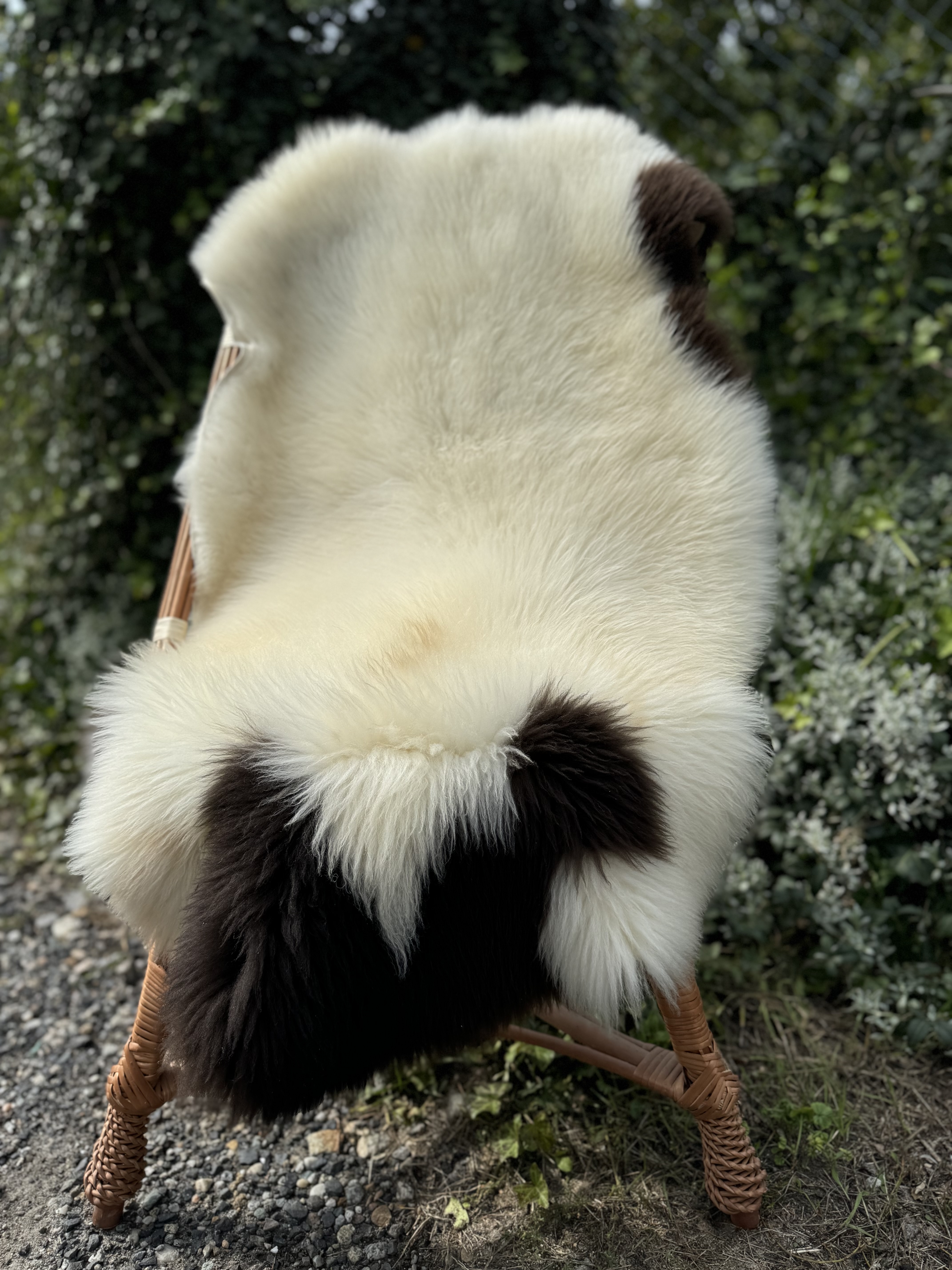 Sheepskins - Swedish - szwedzkie-skry-owcze-swedish-sheepskins-schwedische-schaffelle-zweedse-schapenvachten-peaux-de-mouton-sudoises4