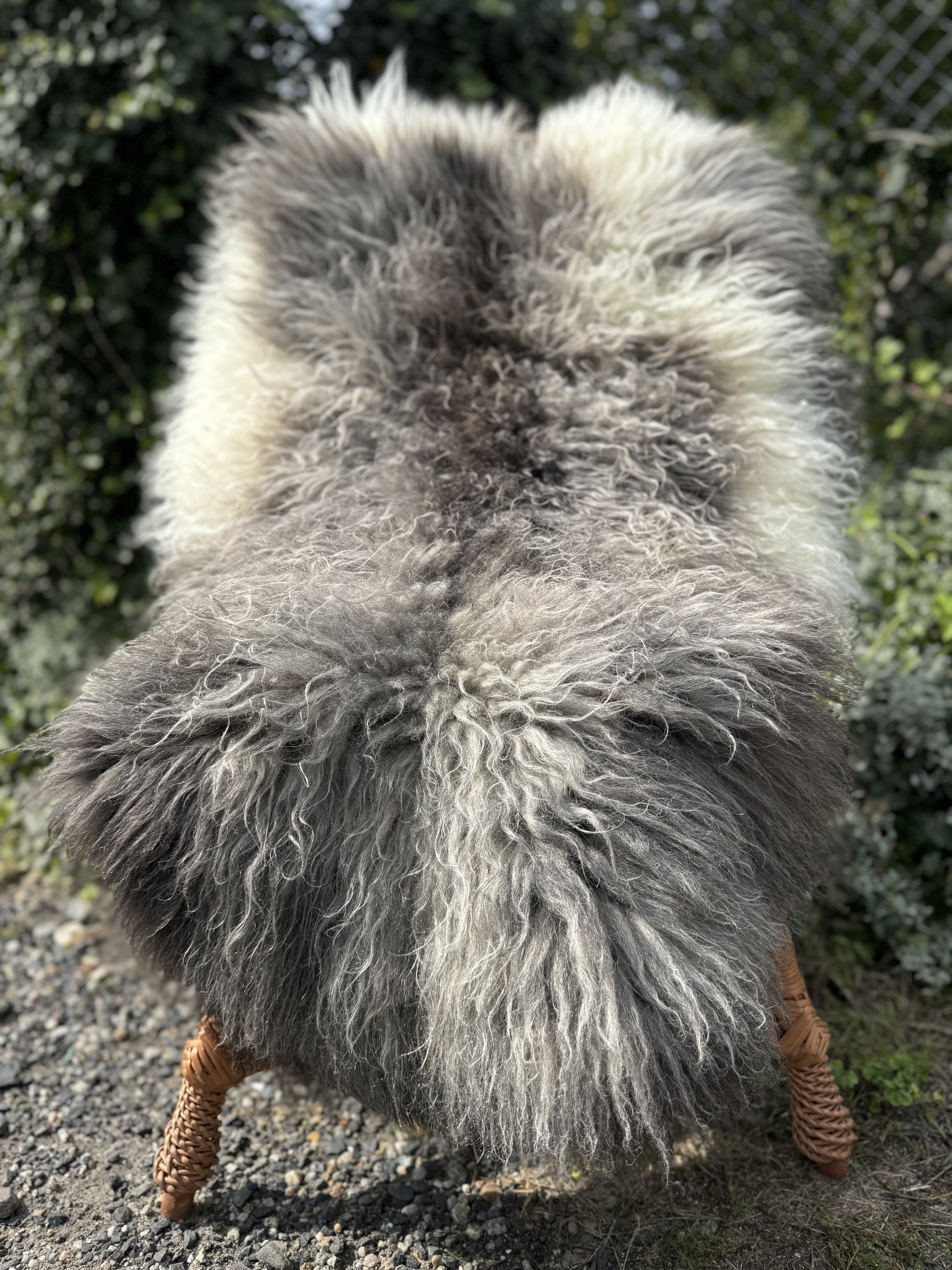 Sheepskins - Swedish - szwedzkie-skry-owcze-swedish-sheepskins-schwedische-schaffelle-zweedse-schapenvachten-peaux-de-mouton-sudoises