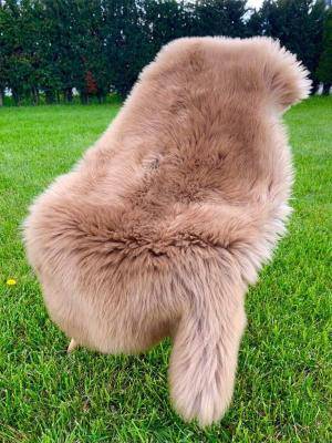 Sheepskins - Meliert - Toffee - toffee