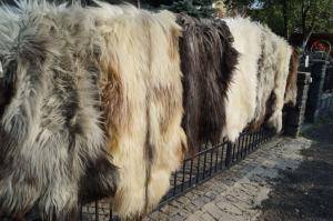 Sheepskins - Heidschnucke - unique-heidschnucke-sheepskin