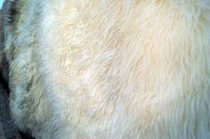 Sheepskins - Melerade - unique-melerade-sheepskin