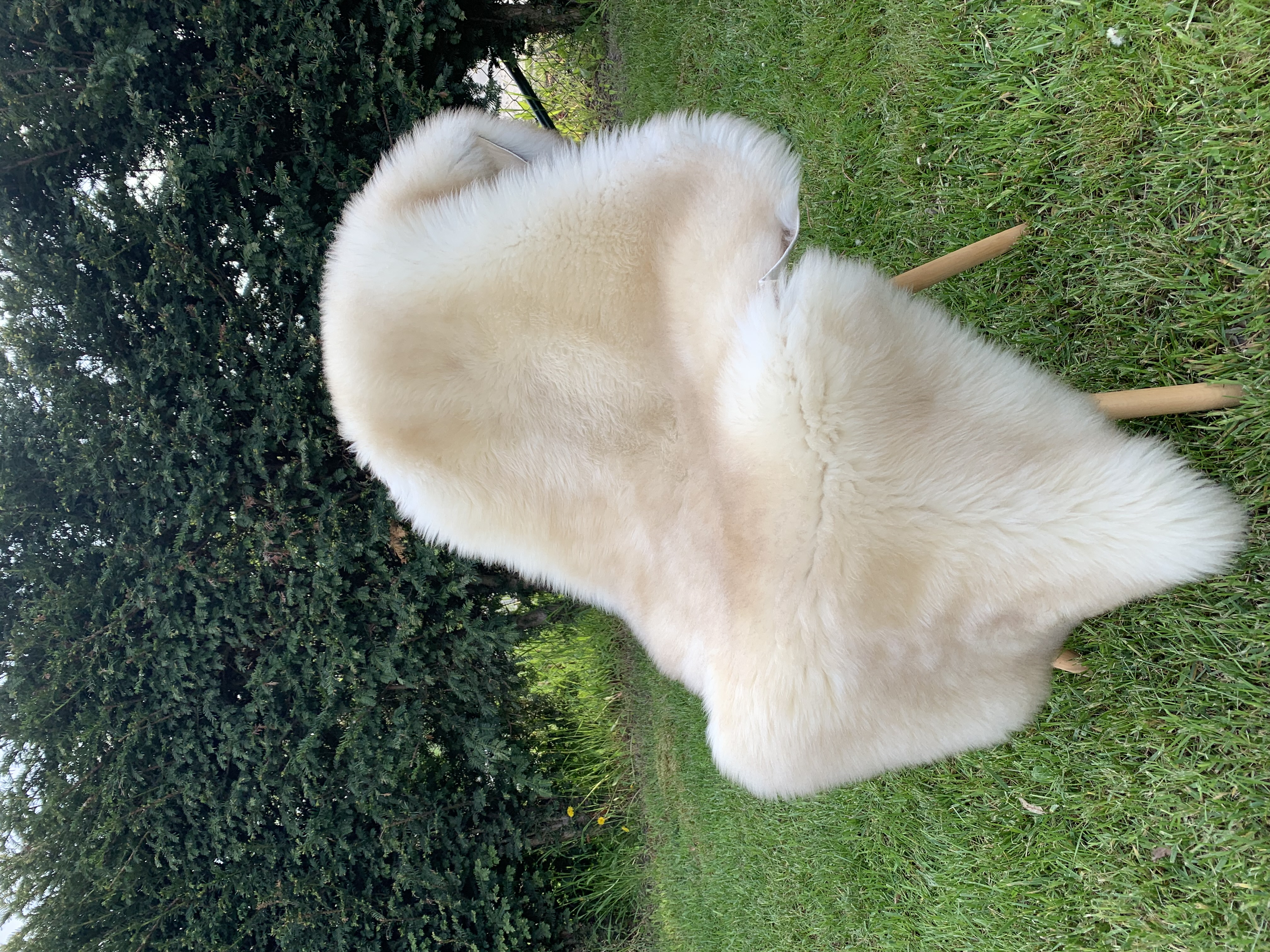 Sheepskins - Meliert - Cookies - white-meliert-cookies-sheepskins-adam-leather