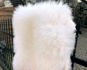 Sheepskins - Natural sheepskin - white-natural-sheepskins-sheep-adam-leather