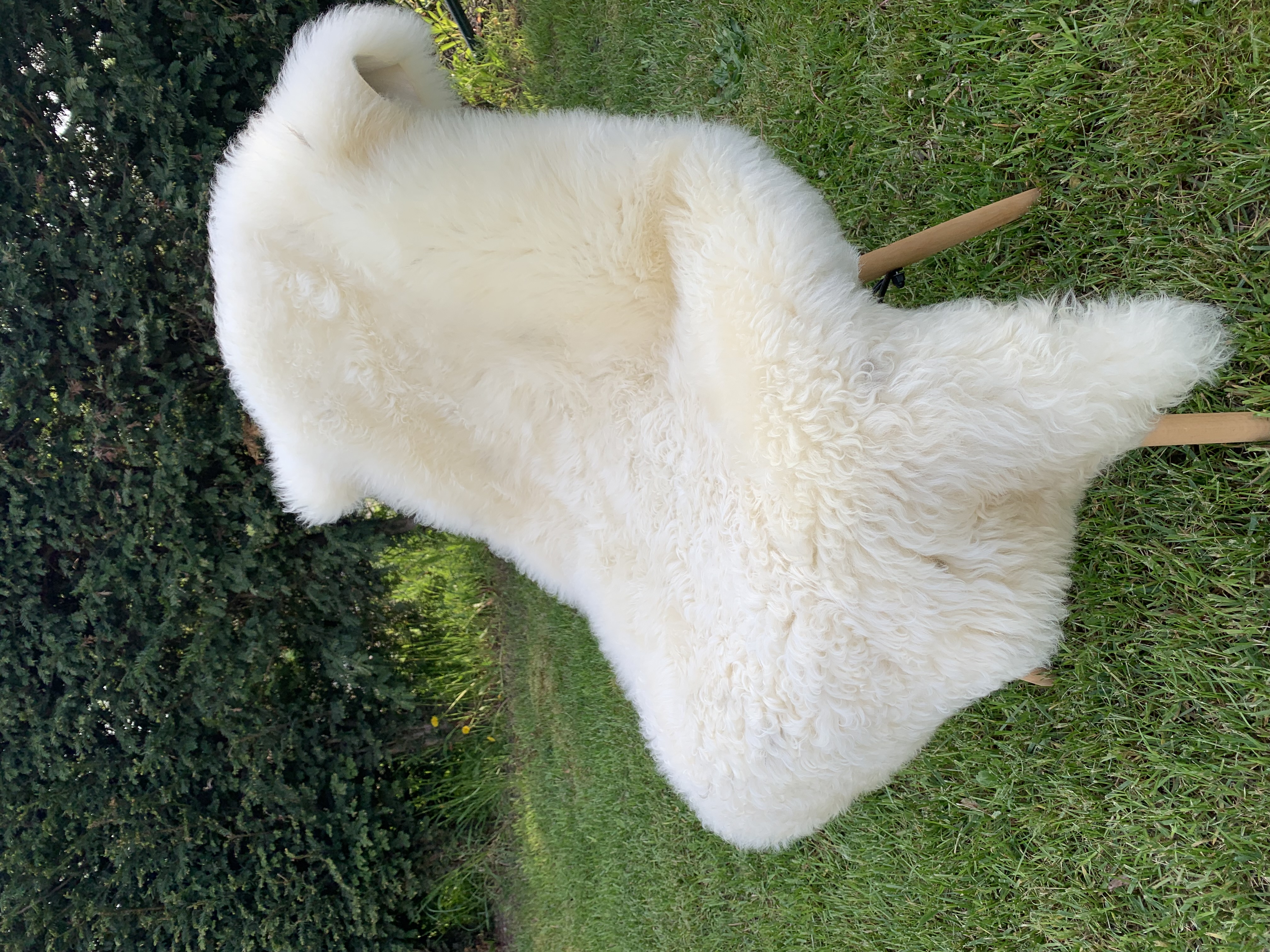 Sheepskins - Swedish - white-swedish-sheepskins-adam-leather