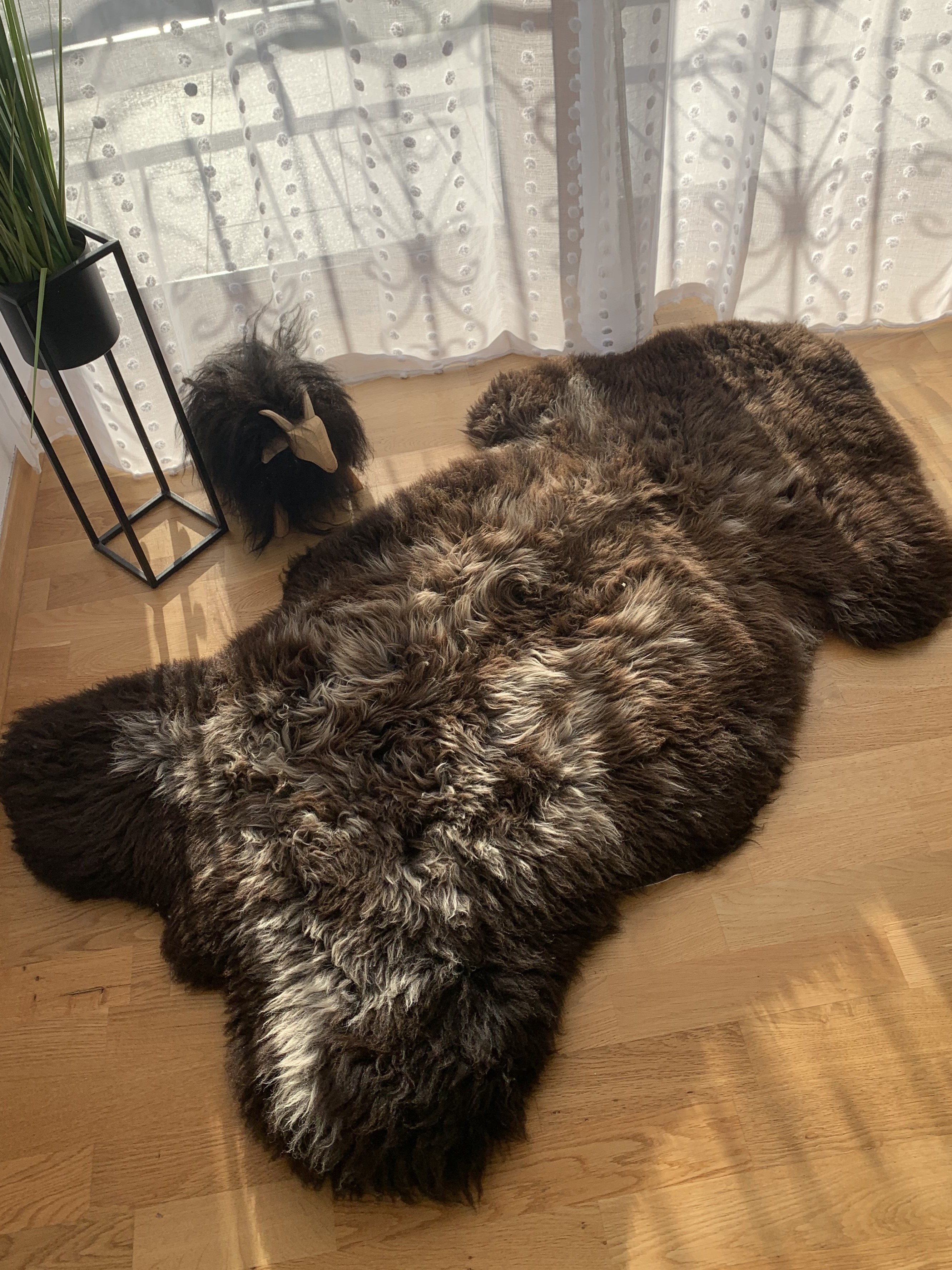 Sheepskins - Sheepskin - texel-brown-sheepskin-adam-leather
