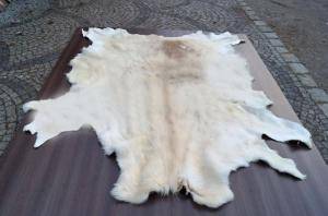 Sheepskins - African leather - 211453pleasing-african-skinsclimage1920x1080-100