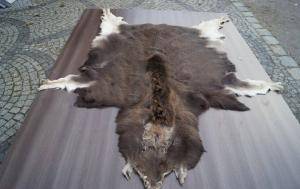 Sheepskins - African leather - 277098lovely-african-skinsclimage1920x1080-100