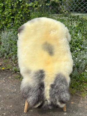Sheepskins - SHEEPSKINS FOR THE GARDEN - GARDEN DECORATIONS - 35477334935261781277025718193159768103129808n