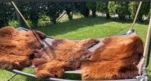 Sheepskins - SHEEPSKINS FOR THE GARDEN - GARDEN DECORATIONS - 37964464513933570882617336061104742132400339n