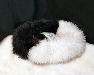 Sheepskins - Dog beds, dog basket - 4311