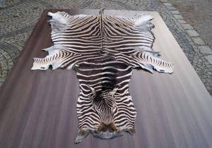 Sheepskins - African leather - 542260_glamorous-african-skins-adam-leather-tannery-poland