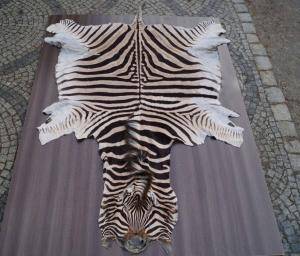 Sheepskins - African leather - 661557great-african-skinsclimage1920x1080-100