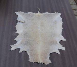 Sheepskins - African leather - amazing-african-skinsclimage1920x1080-100