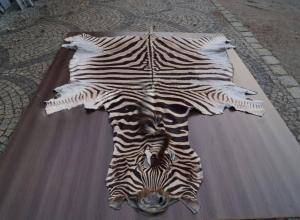 Sheepskins - African leather - artistic-african-skins-adam-leather
