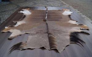 Sheepskins - African leather - beaut-african-skins-adam-leather