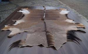 Sheepskins - African leather - beaut-african-skinsclimage1920x1080-100