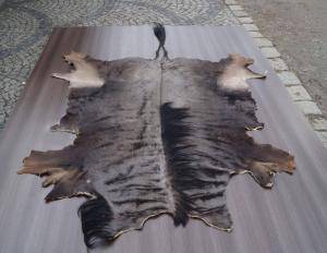 Sheepskins - African leather - beautiful-african-skins-adam-leather