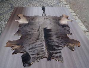 Sheepskins - African leather - beautiful-african-skinsclimage1920x1080-100