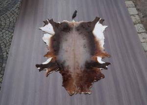 Sheepskins - African leather - beauty-african-skins5climage1920x1080-100