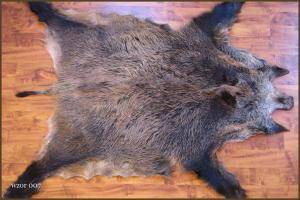 Sheepskins - Boar skins - beauty-boar-skinsclimage1920x1080-100