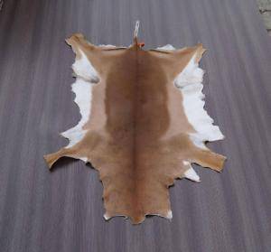 Sheepskins - African leather - brilliant-african-skins-adam-leather
