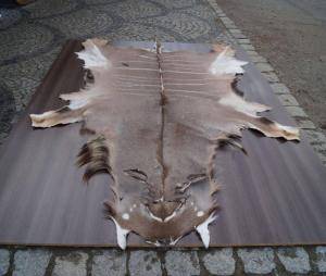 Sheepskins - African leather - comely-african-skins-adam-leather