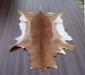 Sheepskins - African leather - cool-african-skins-adam-leather-eco