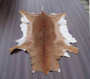 Sheepskins - African leather - cool-african-skinsclimage1920x1080-100
