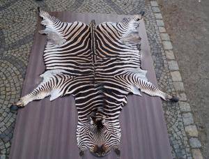 Sheepskins - African leather - delightful-african-skins9climage1920x1080-100