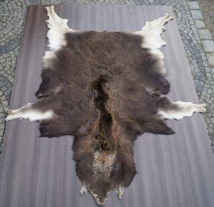 Sheepskins - African leather - engaging-african-skins-adam-leather