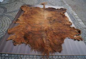Sheepskins - African leather - fantastic-african-skins-adam-leather-tannery-poland