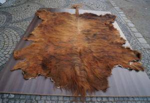 Sheepskins - African leather - fantastic-african-skins7climage1920x1080-100