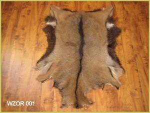 Sheepskins - Goat skins - fine-goat-skinsclimage1920x1080-100