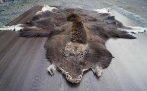 Sheepskins - African leather - fluffy-african-skins-adam-leather