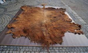 Sheepskins - African leather - glorious-african-skins-adam-leather-eco