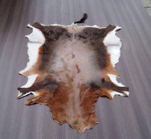 Sheepskins - African leather - goodly-african-skins-adam-leather