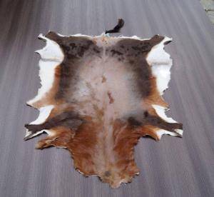 Sheepskins - African leather - goodly-african-skinsclimage1920x1080-100