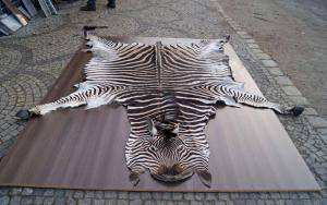 Sheepskins - African leather - gorgeous-african-skins-adam-leather-eco