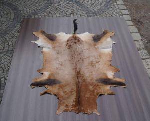 Sheepskins - African leather - gorgeous-african-skins-adam-leather
