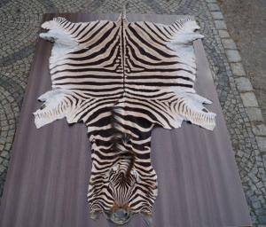 Sheepskins - African leather - great-african-skins-adam-leather