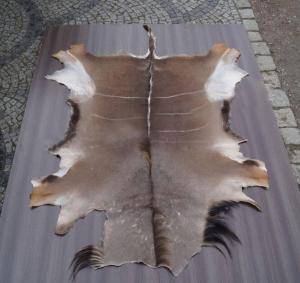 Sheepskins - African leather - grey-african-skins-adam-leather