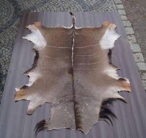 Sheepskins - African leather - grey-african-skinsclimage1920x1080-100