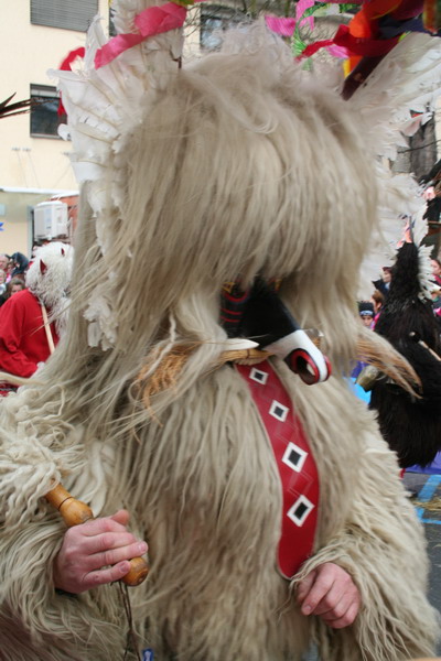 Sheepskins - Sheepskin for costume - Kurent/Korant character - img0975resize