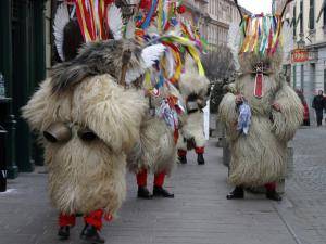 Sheepskins - Sheepskin for costume - Kurent/Korant character - kurenti