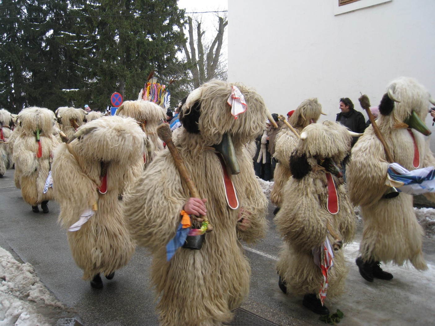 Sheepskins - Sheepskin for costume - Kurent/Korant character - kurentiptujfront1