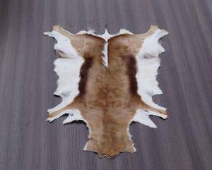 Sheepskins - African leather - lovely-african-skins-adam-leather-eco-tannery-poland