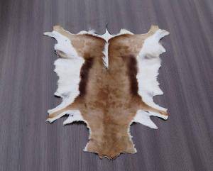 Sheepskins - African leather - lovely-african-skinsclimage1920x1080-100