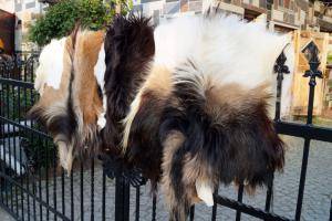 Sheepskins - Goat skins - lovely-goat-skins-adam-leather