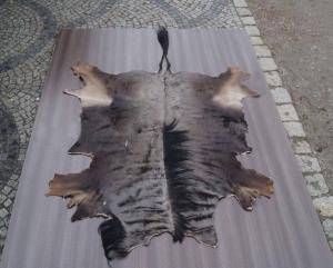 Sheepskins - African leather - magical-african-skins-adam-leather